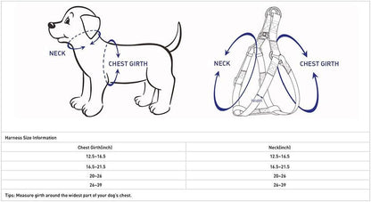 Close up of Blueberry Pet durable nylon dog harness buckle and D-ring