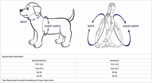 Close up of Blueberry Pet durable nylon dog harness buckle and D-ring