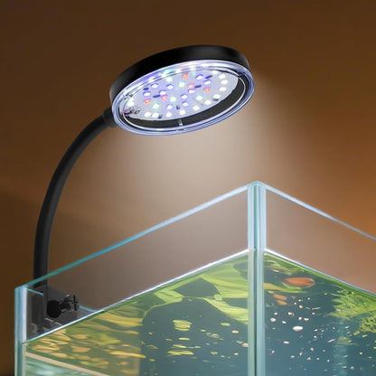 Novique clip on aquarium light front view illuminating a small betta fish tank