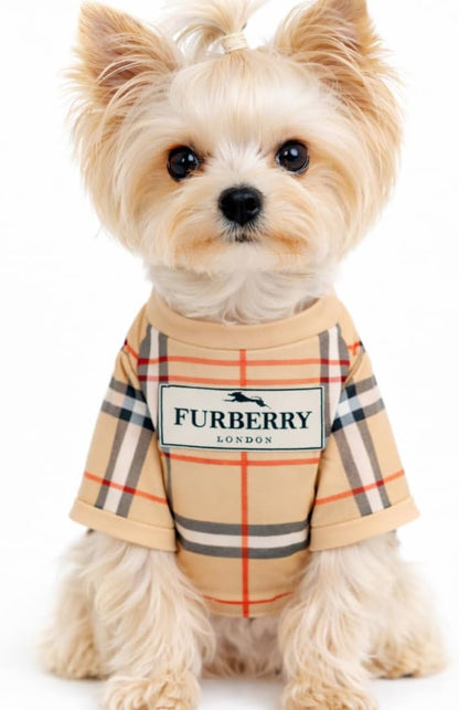 Everything Chic Luxury Designer Dog T Shirt front view