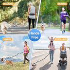 Kytely reflective dog walking leash low light safety