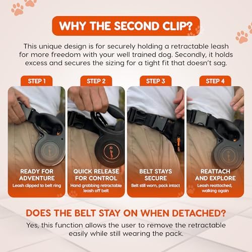 Side view of the hands free running leash attached to a medium dog harness.
