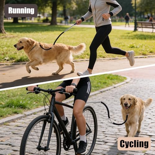 Standalone handheld dog walking leash converted from the quick release bicycle attachment