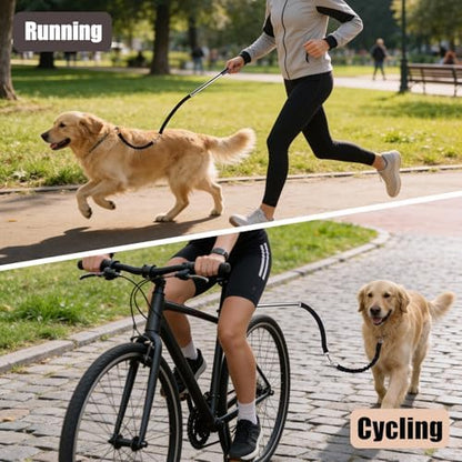 Standalone handheld dog walking leash converted from the quick release bicycle attachment