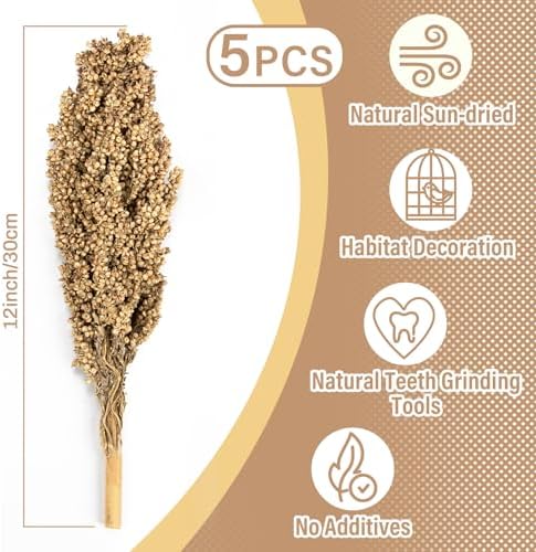 Sukh Natural Hamster Sprays - 5pcs Natural Sun-Dried Red Sorghum Grain,Flower & Herb Grain Stalks for Cage Habitat Bedding Decor for Dwarf Syrian Hamsters,Gerbils,Mice,Cockatiels - Image 3