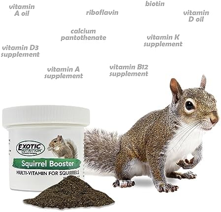 Exotic Nutrition squirrel supplement container back view