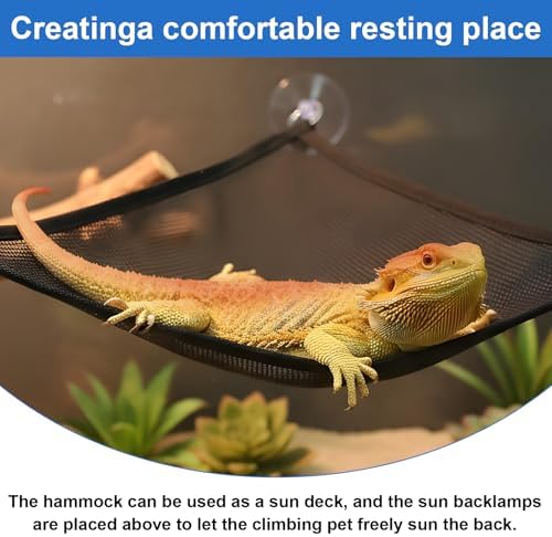 Bearded dragon accessories showing dual mesh hammocks installed in an exotic pet enclosure
