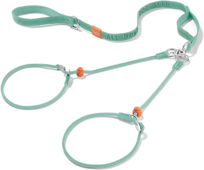 Howgo Double Slip Leash Slip Lead with Two Handles| Dual Dog Slip Lead for 2 Dogs,360 degrees Swivel No Tangle | Dog Training Collar | Double Clip Leash Coupler and Splitter (Multicolor, 6FT) - Image 14