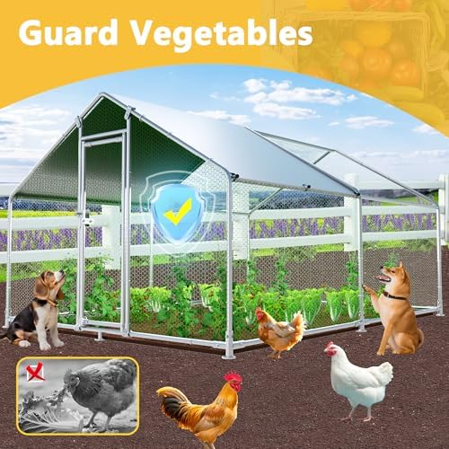 HEASON spacious poultry enclosure set up in a backyard yard setting