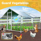 HEASON spacious poultry enclosure set up in a backyard yard setting