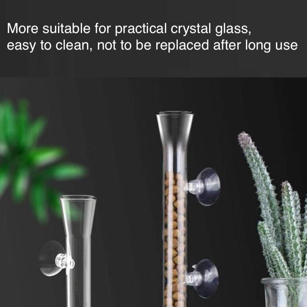 AnxunJim glass tube shrimp feeder installed in dwarf shrimp breeding tank