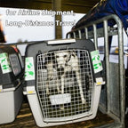 Dlmlemu breathable fine mesh net cover installed on plastic pet carrier