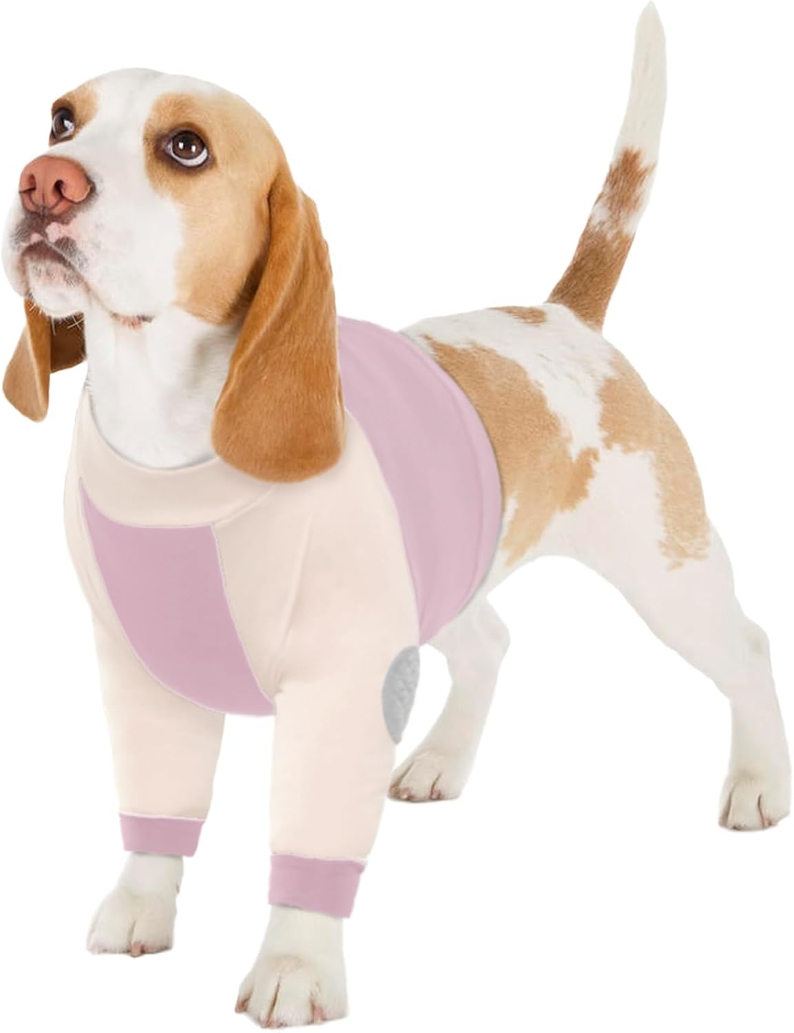 LeLePet Dog Recovery Suit for Front Legs, Dog Sleeve to Stop Licking, Elbow Protector for Leg Injuries Shoulder Wounds After Surgery Male Female,Zippered Long-Sleeved Shirt Cone Alternative(S-3XL) - Image 12
