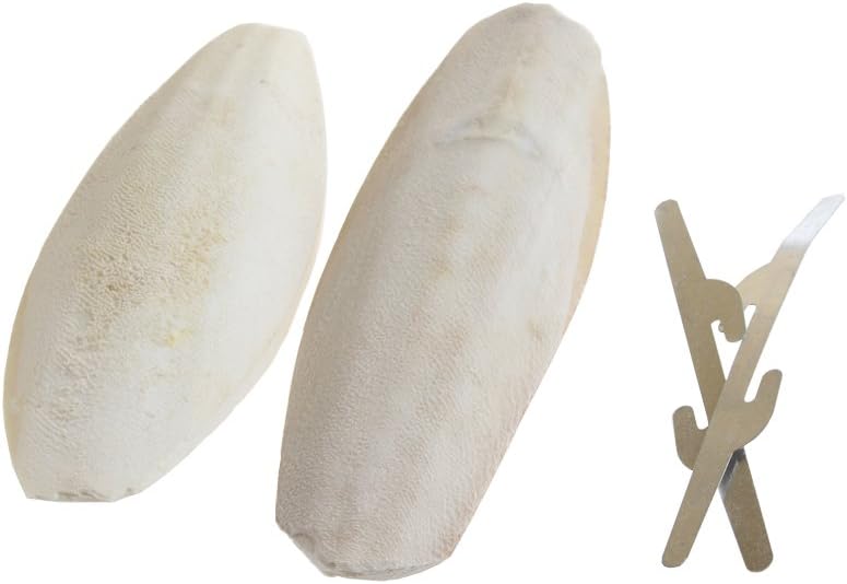Emours natural cuttlefish bone twin pack layout