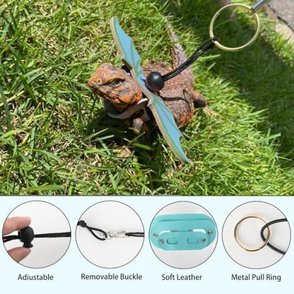 Travel accessory set for bearded dragons and geckos