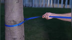 AMAGOOD tangle free 360 swivel bolt snap on blue dog lead