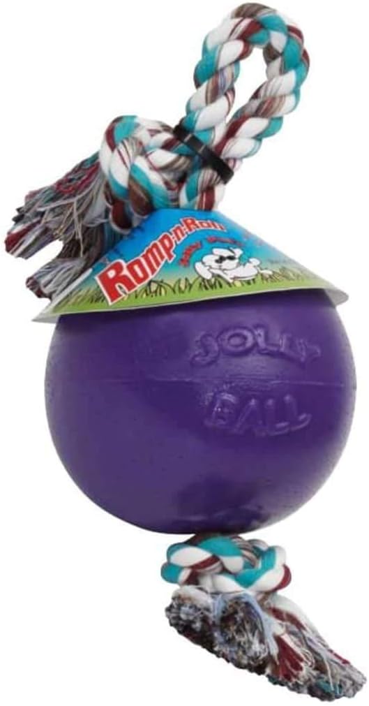 Jolly Pets Romp-N-Roll floating dog toy for water