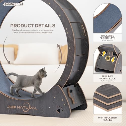 Anti pinch cat exercise wheel with low noise rollers