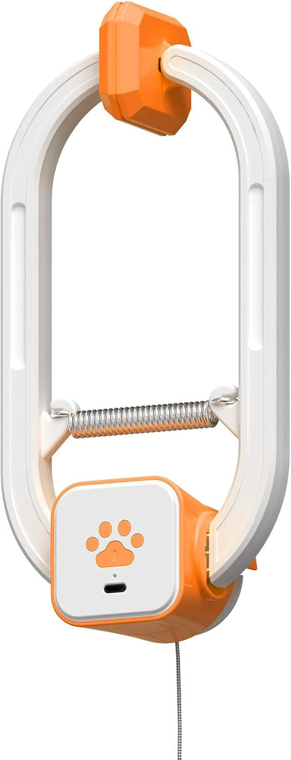 Interactive Cat Toy, Rechargeable Electric Cat Teaser, Hanging Door cat Toy, 2 Motion Modes (360 degrees Spin & Irregular Jumping), Smart Auto Cat Toy for Exercise & Fun, Grey - Image 13
