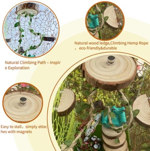 Jumping Spider Enclosure Accessories Kit, Habitat Decor-3 Wood Ledges & 1 Climbing Rope - Image 6