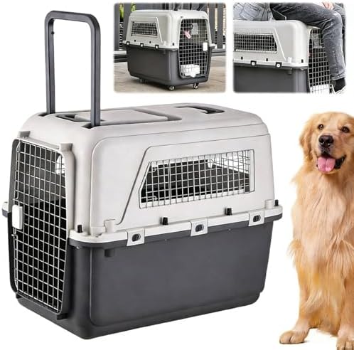 Generic hard sided pet kennel side view illustrating the ventilation slots.