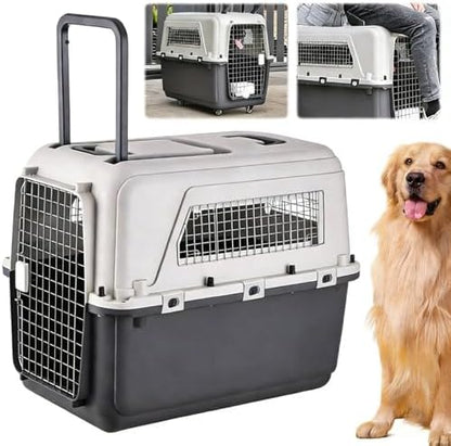 Generic hard sided pet kennel side view illustrating the ventilation slots.
