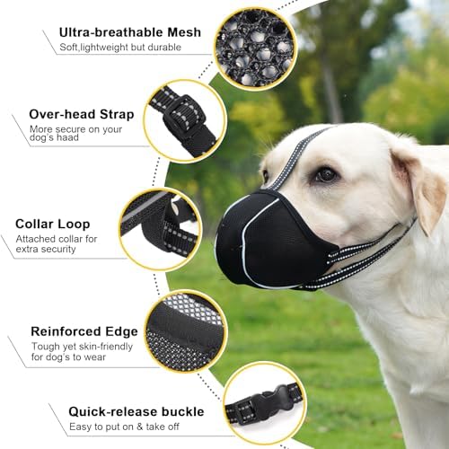 Zoomtail dog muzzle featuring reflective strip for night safety