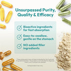 Andrew Lessman Maximum L+Z 120 Softgels capsule softgel close-up view