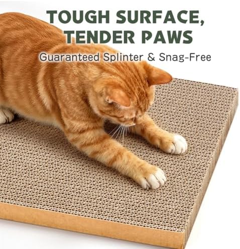 Eco friendly heavy duty cat scratch pad with playful themed doodle pattern exterior