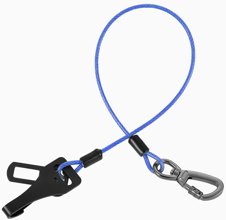 Pet safety harness tether attached to car latch point