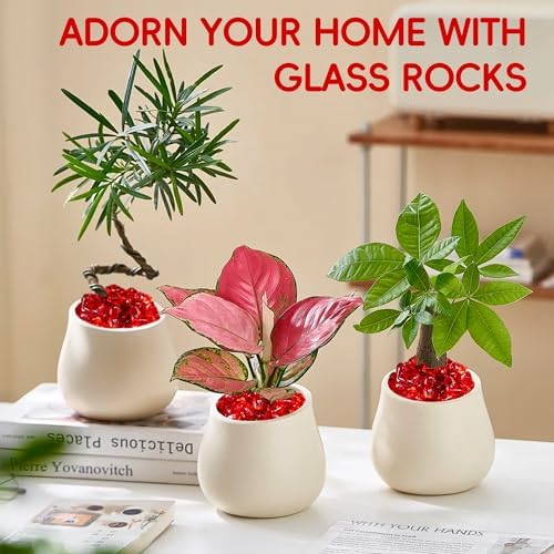 Succulent planter decorated with red glass aquarium pebbles
