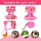 Frienda duck harness laid flat with matching elastic leash and metal clasp