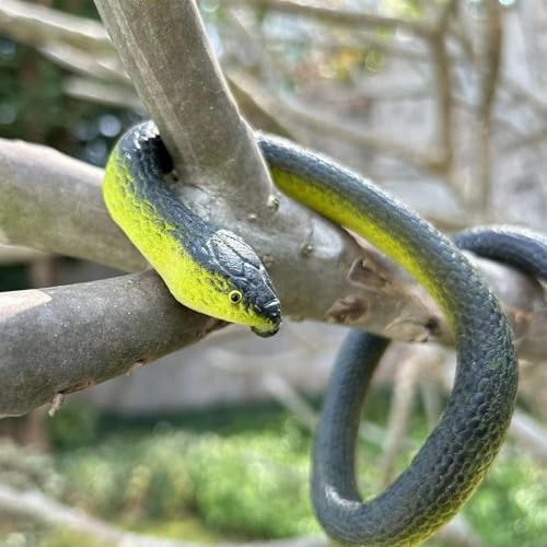 Lifelike garden snake visual pest deterrent placed near home eaves on a porch