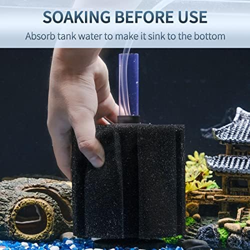 Pawfly large sponge filter operating with air pump