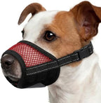 Red adjustable pet mouth guard with hook and loop straps