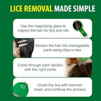 Two pack professional metal nit removal combs with magnifying glass