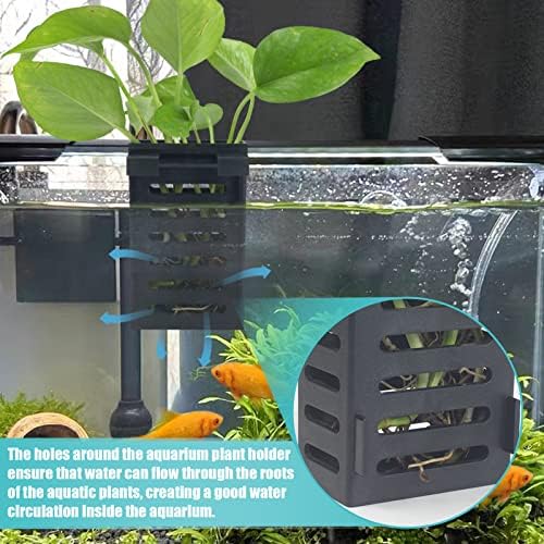 Emersed plant roots growing through bottom holes of aquarium planter.