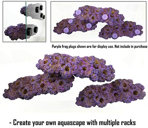 Premium imported magnetic coral rack displaying multiple frags under reef lighting.