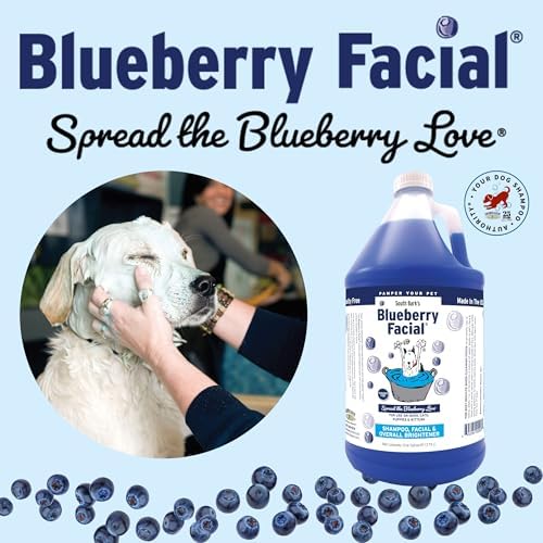 Showseason animal products blueberry color brightener gallon bottle