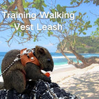 Ttmimik three pack animal training vest showing structural durability and soft materials for rats and gerbils.