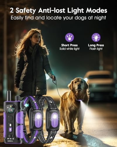 Slopehill two pack dog training collars with dual channel remote control.