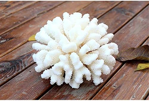 Besimple artificial coral ornament placed inside freshwater fish tank