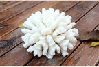 Besimple artificial coral ornament placed inside freshwater fish tank