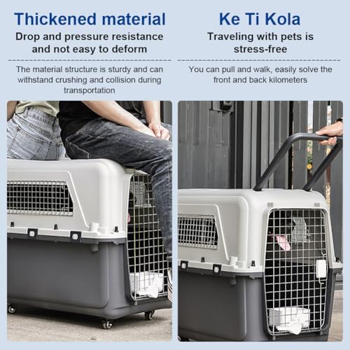 Generic heavy duty pet transport crate shown without wheels for stability.