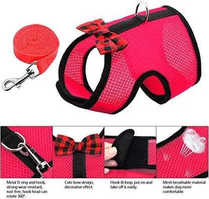Rypet harness with safety bell and matching leash