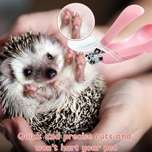 Ergonomic pink small pet grooming scissors and brush combo pack