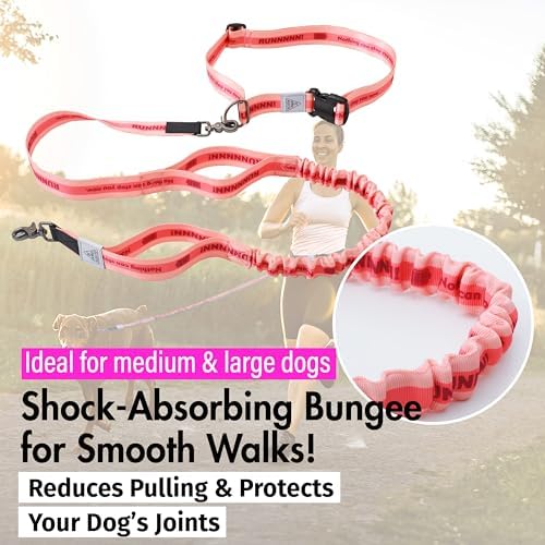 JC House dog leash shock absorbing bungee detail