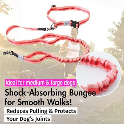 JC House dog leash shock absorbing bungee detail