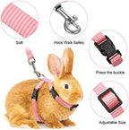 Outus lightweight nylon rabbit leash and harness package contents.