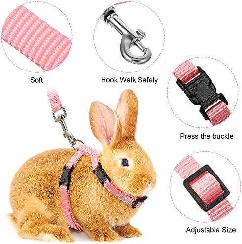 Outus lightweight nylon rabbit leash and harness package contents.